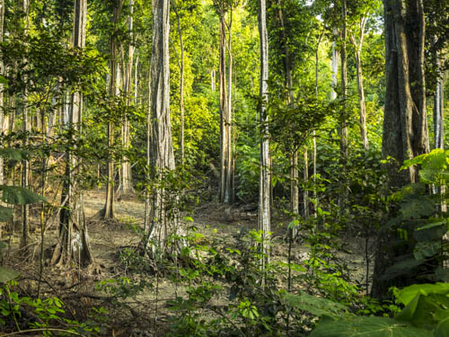 christmas island swell lodge photo tour example 30